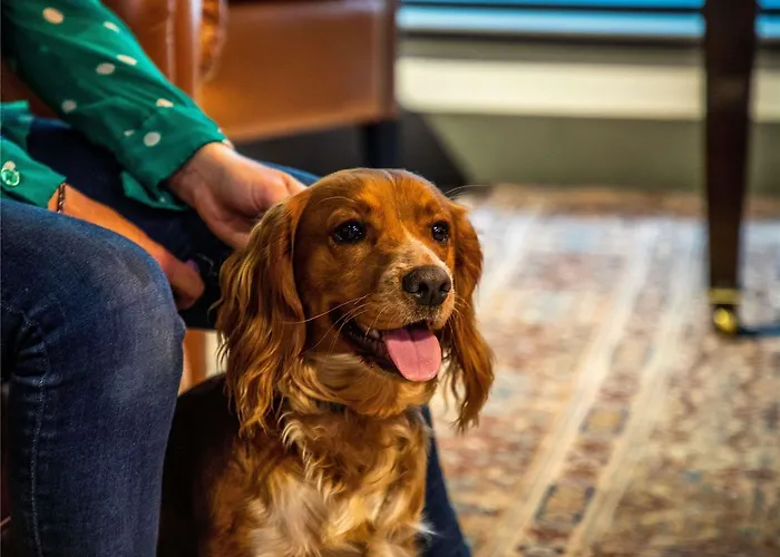 Ibis Styles فندق غلاسغو