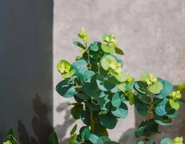 Sleepluxury Aparthouse Σπίτι διακοπών