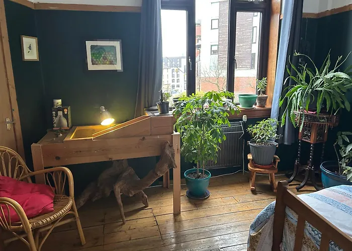 홈스테이 Large Cosy In G3