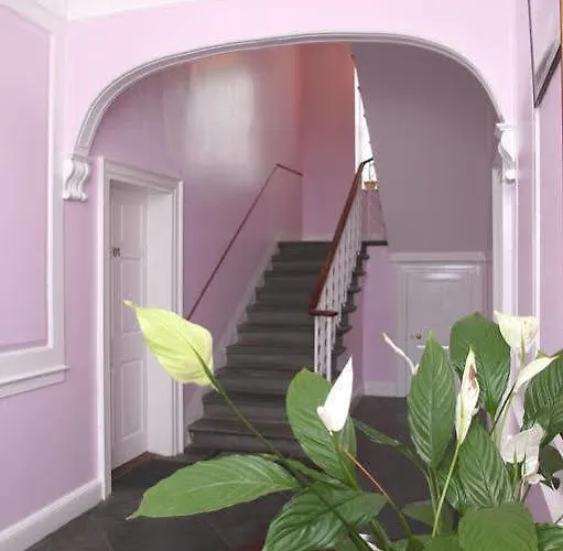 Number 52 Charlotte Street Hotel *