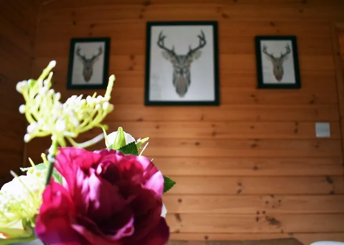 Lägenhet At Loch Lomond Glasgow