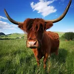 The West Highland Way And Retreat 5*