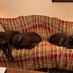 The West Highland Way And Retreat 5* Γλασκώβη