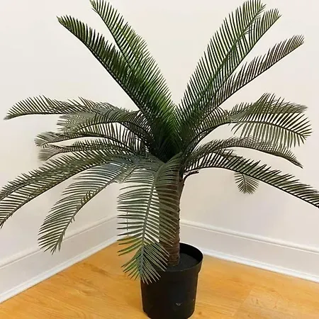 Cozy Nights - Ibrox Street * גלאזגו