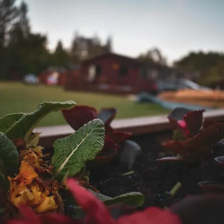 At Loch Lomond Daire *