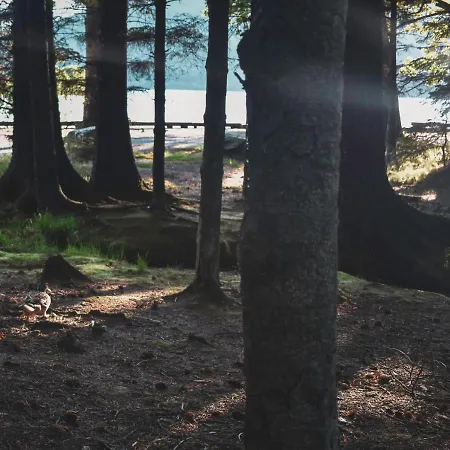 At Loch Lomond Daire Glasgow