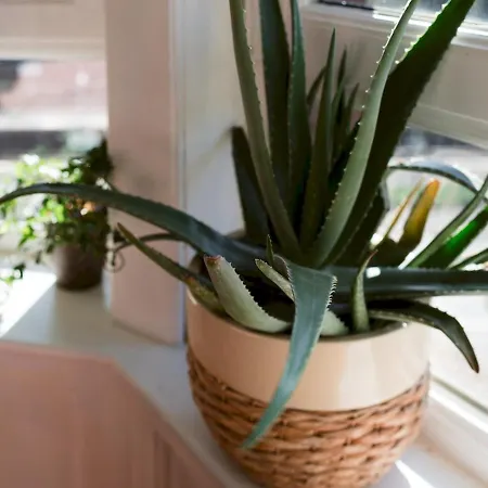 Pass The Keys Quirky, Cosy, Entire Flat In Trendy Area Apartment Glasgow