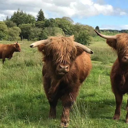 The West Highland Way And Retreat 글라스고