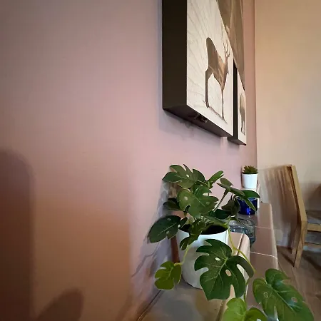 Apartment Stylish Luxury 2-bed Serviced In Heart Of West End Sse Hydro Botanic Gardens Glasgow
