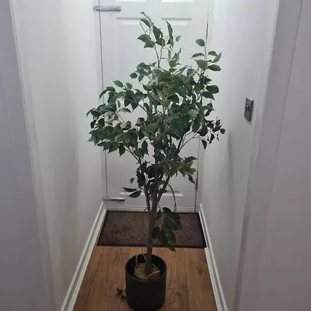 Lovely 2 Bedroom Garden Flat In Trendy West End * 글라스고