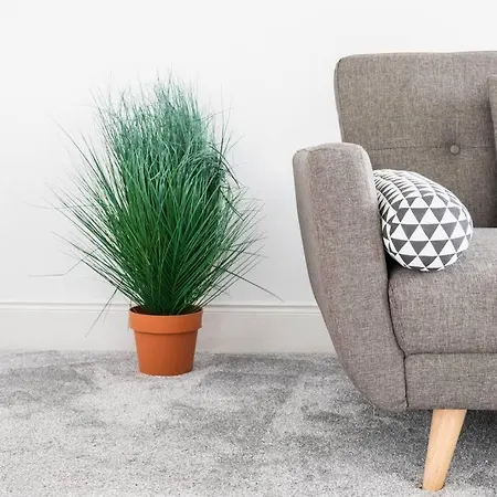 West End 5 Min Walk To Secc And Hydro * Glasgow