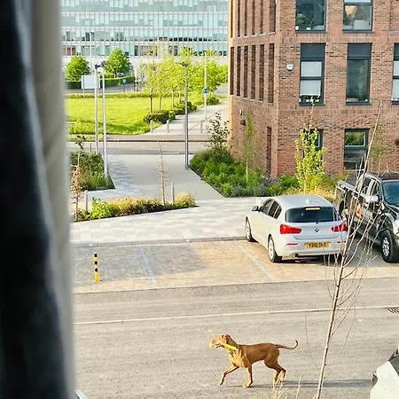 Glasgow City Central Executive Triplex House, 3 Bedroom 3 Bathrooms 1 Living Room Kitchen - Huge Terrace For Master Bedroom - Private E Parking Lez Congestion Zone Free - Garden - 5 Mins Drive To City Centre Central Station Дом отдыха