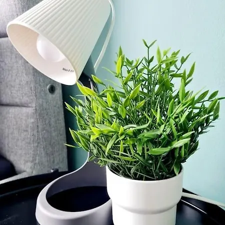 Spacious 5bed House, Free Parking, No Party ! *