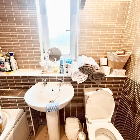 Paradise On Earth Kemp *