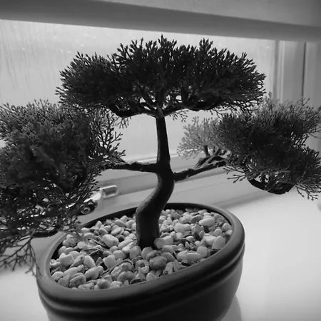 Lejlighed Signature - Huntley House *