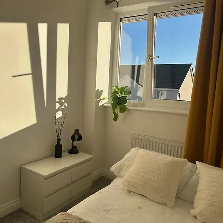 Black Daisy * Glasgow