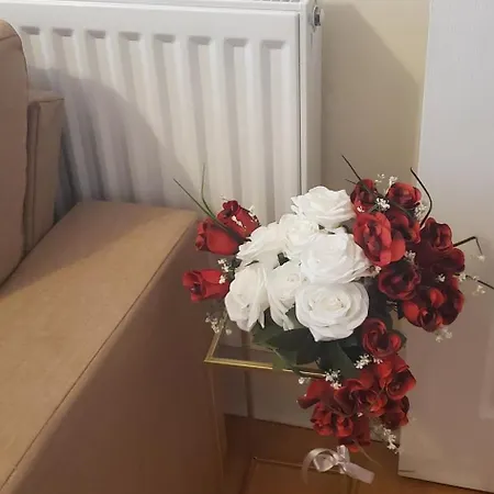 Flat In Close To Local Amenities Apartament