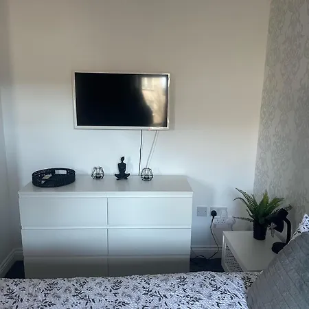 Black Daisy * Glasgow