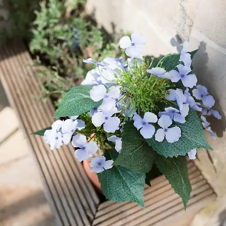 דירה Elegant West End Flat In