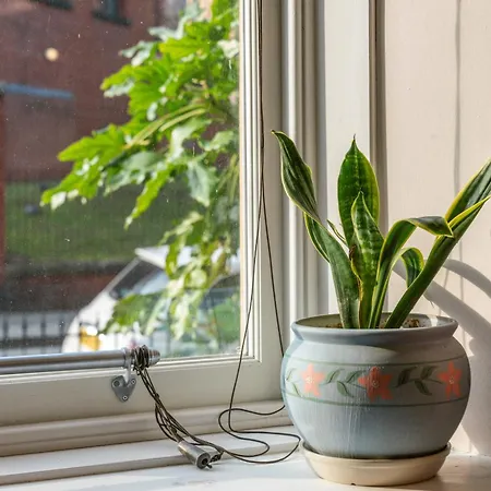 Unique Victorian In דירה *