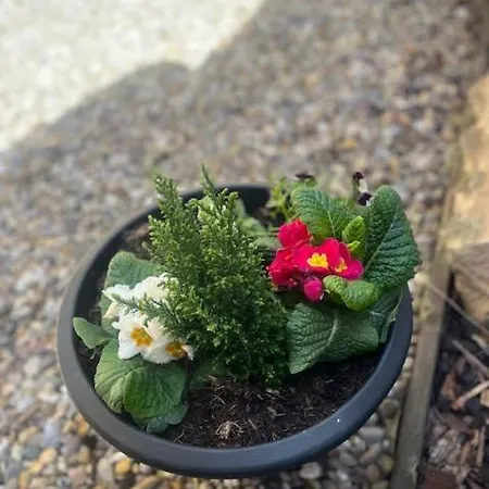 Ground Floor With Garden * Glasgow