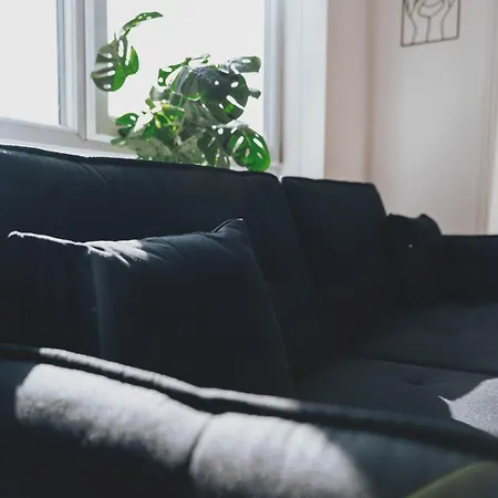 Lägenhet Stylish 3br By Hampden No 161 With Free Parking *