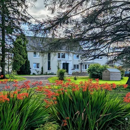 Finn Village - Loch Lomond - The Jungle With A Private Hot Tub Drymen