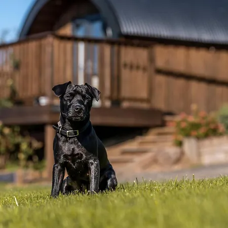 Apartamento Luxury Glamping Pods - The Heft & The Hirsel Glasgow