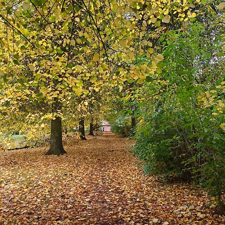 Apartament Newly Renovated West End *