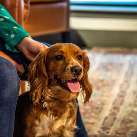 ホテル Ibis Styles