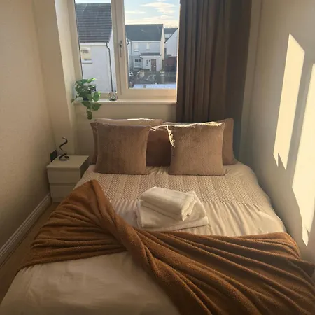 Black Daisy Apartment Glasgow