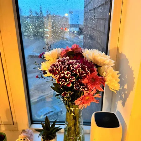 Cosy Apartament