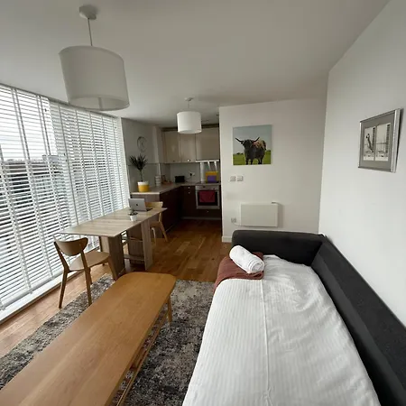 Executive Riverside With Workspace & Fast Wifi Daire Glasgow