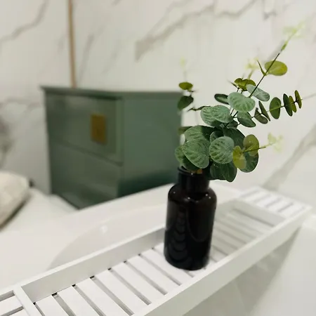 公寓 Modern 2 Bedroom Ground Floor Near Centre 格拉斯哥