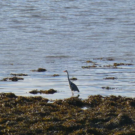 לינה וארוחת בוקר Waterside