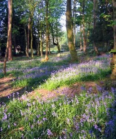 Bed & Breakfast Finglen House 3*