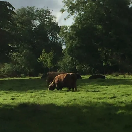 Trefoil - 2 Bedrooms 公寓