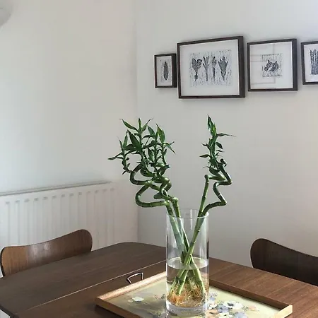 Glasgow City Single Room In Home-Share With Balcony & Parking Glasgow