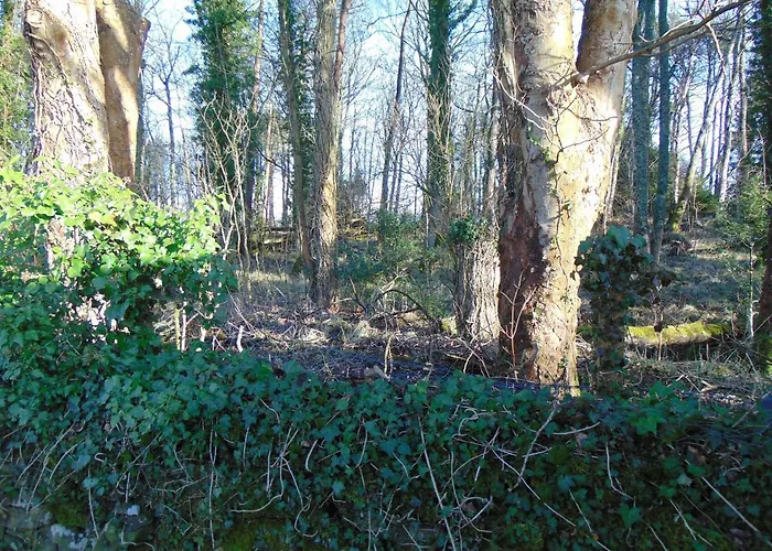 Dreamwood Cottage, Loch Lomond, Luxury Apartment. Glasgow