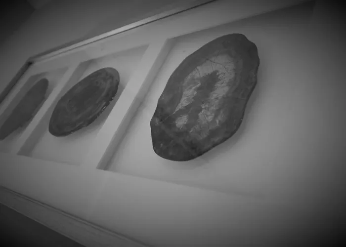 Signature - Moss View