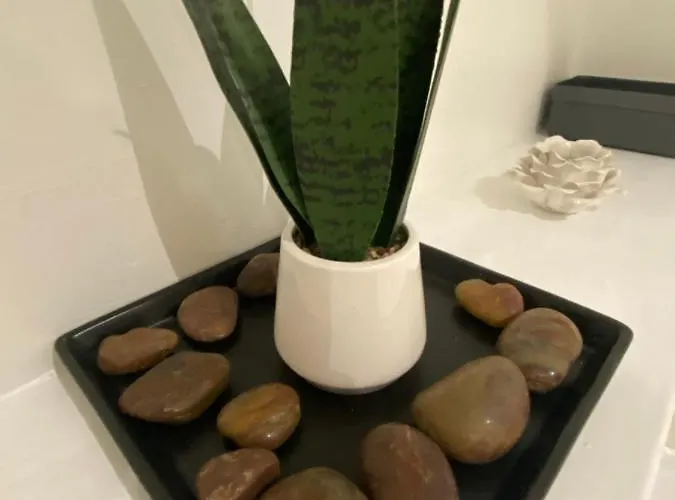 Modern 2-bed In Secc/hydro