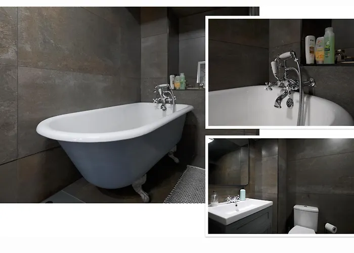 Luxurious Park District Duplex