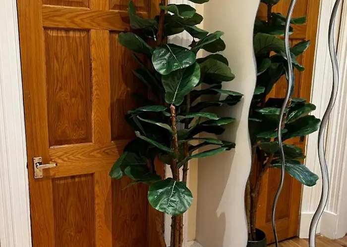 Hampden Hues * Glasgow