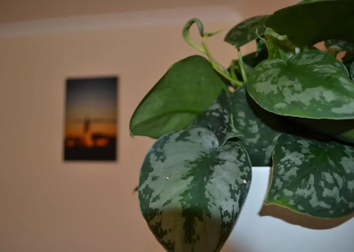 Апартаменты In Heart Of West End- Parking Space- Recent Refurb- Near And Kelvingrove Art Gallery Глазго