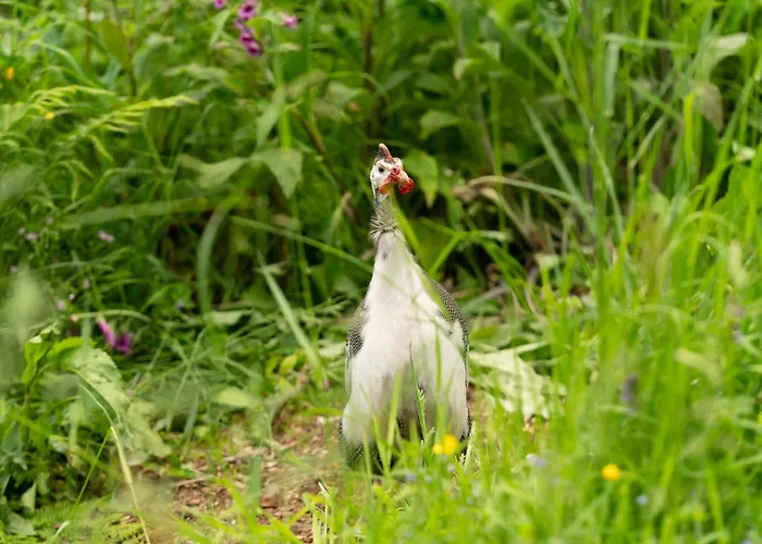 Nyaraló Cosy Cute With Large Veranda & Outdoor Bath *