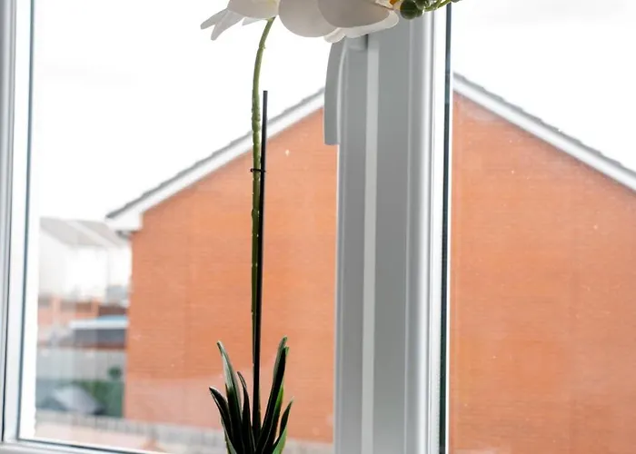 Bartonshill House Casa vacanze Glasgow