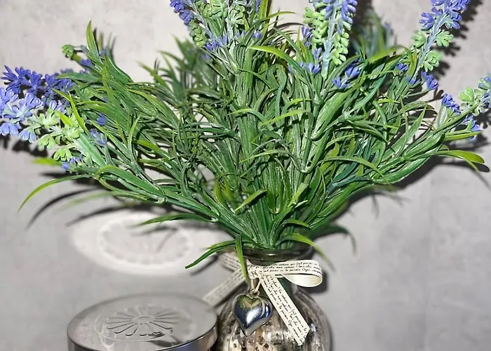 Villa Luxury House In