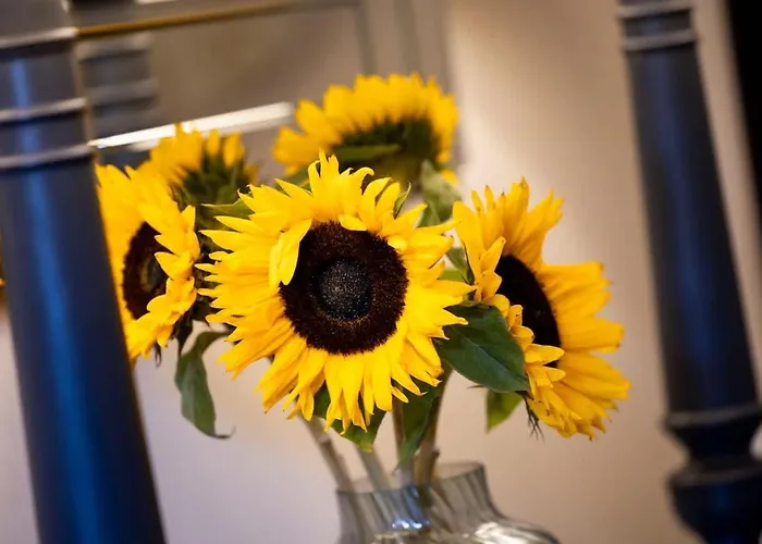 別荘 The Burnbank Experience *