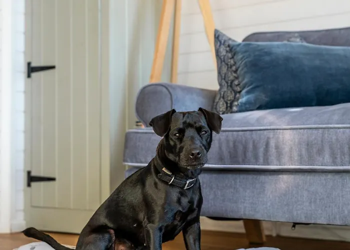 Luxury Glamping Pods - The Heft & The Hirsel Apartment Glasgow