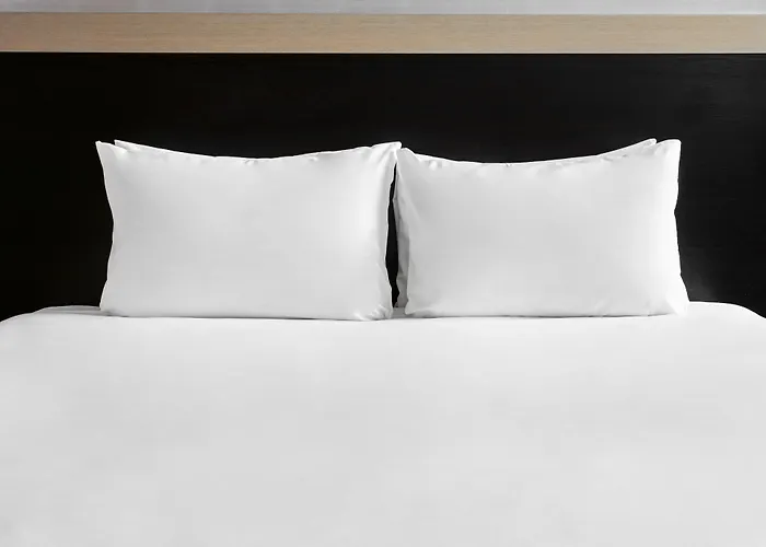 Hotel - - Ctr Theatreland By Ihg Glasgow